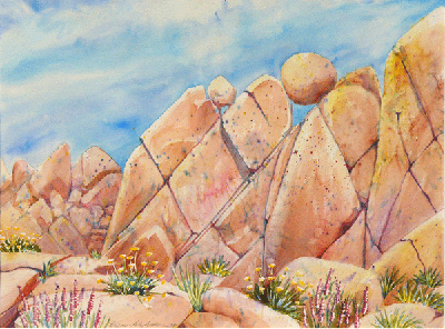 Jumbo Rocks II
